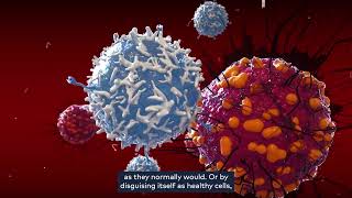Inside CAR T-cell therapy - how does it work?