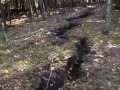 Michigan Earthquake Opens the Ground Up.. - YouTube