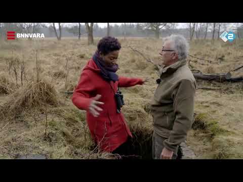 Vroege Vogels - Geschiedenis van de Hoge Veluwe