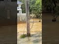 Massive floods destruction | Real footage #viral #trending #floods #flood #Disaster #nature #viral