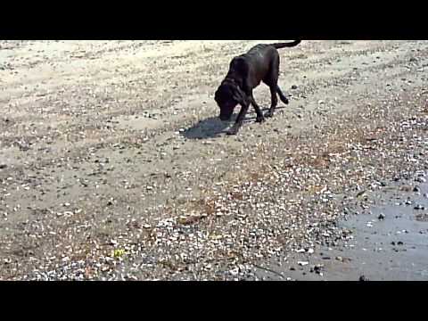 Jaina plays on the beach!!