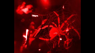 HETZE - FIERCE HATRED