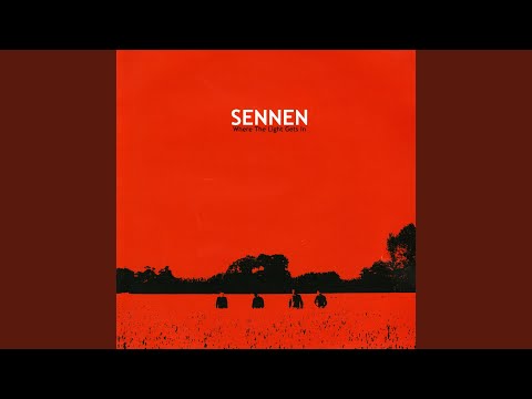 Where the Light Gets In