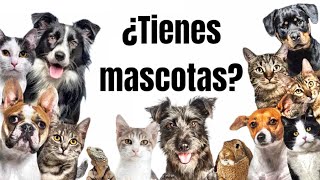 ¿Tienes mascotas?