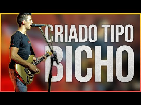 Sandro Coelho e Banda – Criado Tipo Bicho (Ao Vivo)