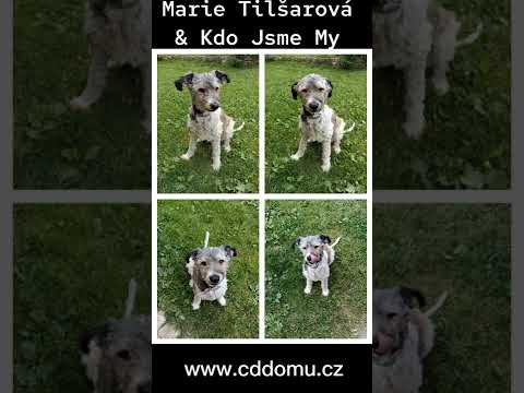 Marie Tilšarová & Kdo Jsme My - Na Vodítku (Official)