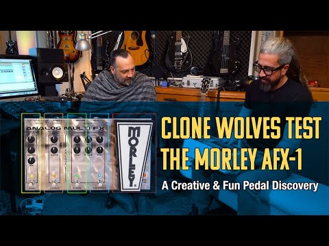Morley Analog Multi FX AFX-1 ⚡ Creative & Fun Pedal Discovery + Review