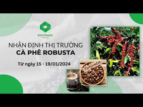 Nhận Định Thị Trường - Cà phê Robusta (Ngày 15 - 19/01/2024)