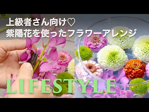 スイミングプールの輪郭をどのように配置するか?プールを舗装、植栽、家具で囲むための 3 つのアイデア  庭園