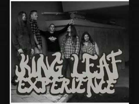 King Leaf Experience - Me