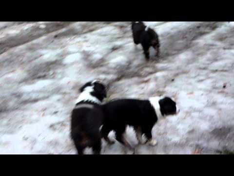 Unterwegs mit der Rasselbande