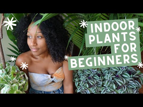 download lagu mp3 mp4 Plants For Mom, download lagu Plants For Mom gratis, unduh video klip Plants For Mom