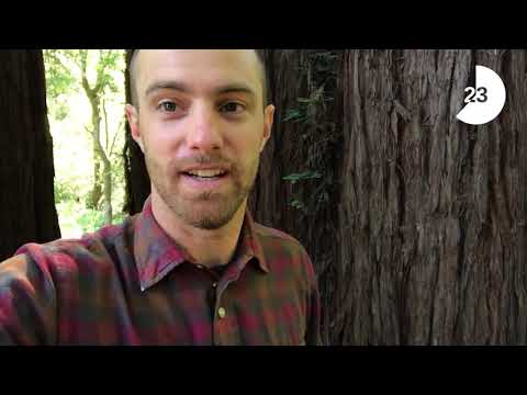 Minute With Matt: Fairy Rings