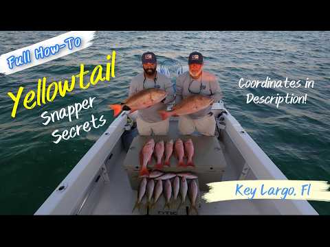 The Ultimate Guide to Yellowtail Snapper Fishing (+ Epic Mutton Catch!)