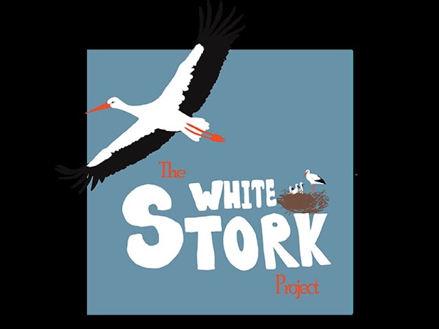 Live webcam view of Knepp Stork Nest Cam
