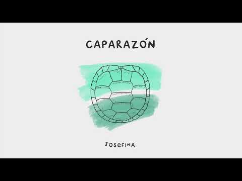 Caparazón video