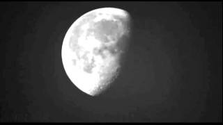 The Magnetic Fields - I Have the Moon