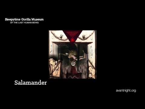 Salamander in Two Worlds by Sleepytime Gorilla Museum (Lyrics)