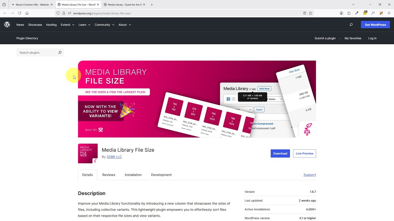 How to Find Your File Sizes in Your Media Library in WordPress