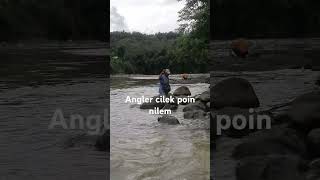 Download lagu Ikan nilem air keruh #sungaiprogo #mancingnilem mp3