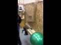 Rube Goldberg Machine Popping A Balloon