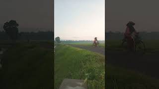 Download lagu Sejuknya suasana pagi hari di pedesaan mp3