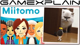 Miitomo & Nintendo Account Websites Launched