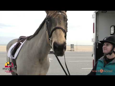 OC Beach Horse Riding  20' - For Worcester County Tourism