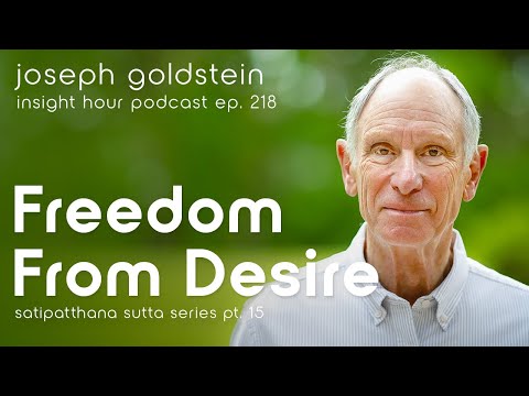 Joseph Goldstein's Satipatthana Sutta Series Pt. 15: Freedom From Desire – Insight Hour Ep. 218