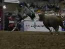 Xtreme Bulls (Indianapolis - 2007) Round 1