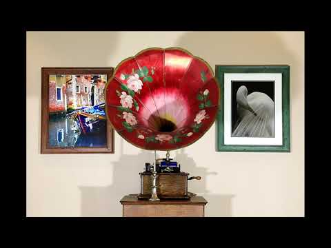 Turkey Trot, "Peg o' my heart - Medley" National Promenade Orch., Edison Blue Amberol cylinder #2205