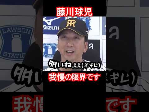 近本のデッドボールに対して、藤川球児監督、静かなる怒り #阪神タイガース #近本光司 #藤川球児 #shorts