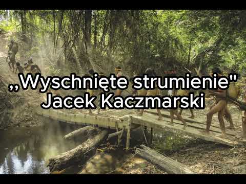 Wyschnięte strumienie - Jacek Kaczmarski TEKST