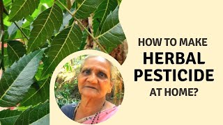 Herbal pesticide