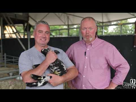 Summer on the Farm is BACK! Channel 5 / July 2022