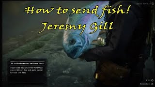 How to send Fish! To Jeremy Gill Rdr2 Legendary!
