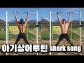 맨몸운동 턱걸이로 아기상어 루틴 (Calisthenics workout Pull-up Shark song routine)