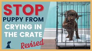 Stop Puppy From Crying in the Crate   Revised