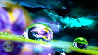 The Birthday Massacre - Rain🌧