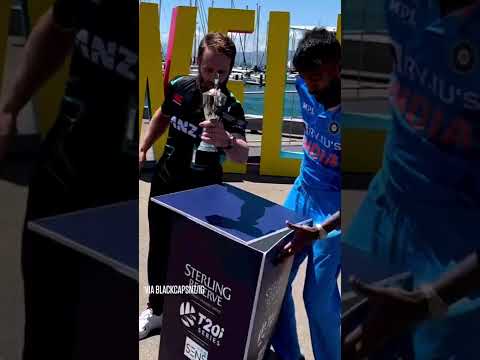 Kane Williamson has a safe pair of hands 😂