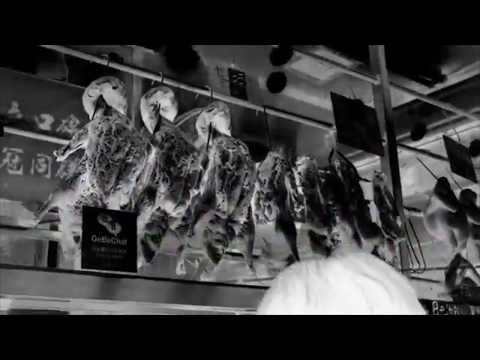 Fotan Laiki, 柒羊 Yung Takeem - 超級唔撚鐘意 Leak!!!