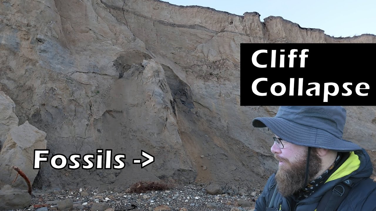 Cliff Collapse Reveals Hidden Fossils | Mamlambo Fossils