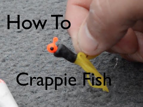 Crappie Fishing Tips & Techniques: Guaranteed To Help In 2024!