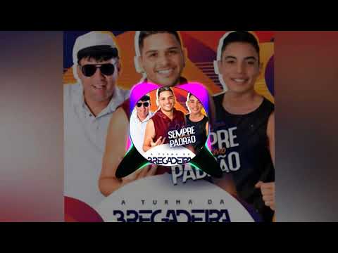 TURMA DA BREGADEIRA MUSICA xerecard Feat MC Danny (Oficial 2021 )
