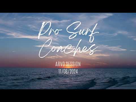 2024 1108 PSC ARVO sequence video