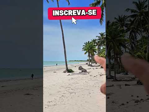 ALAGOAS PORTO DE PEDRAS #praia #alagoas  #turismo #maceio  #nordestino #nordeste  #viagem