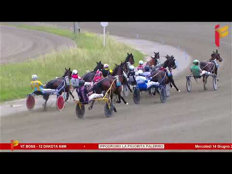 IV Corsa del 14 Giugno 2023 - 4 Anni F - Metri 1600