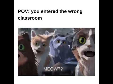 Puss Gifs