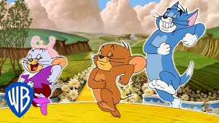 Tom &amp; Jerry | Tom &amp; Jerry Arrive At the Oz | WB Kids