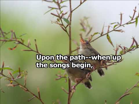 John Clare | "Early Nightingale" (Zome Reads Episode 12)